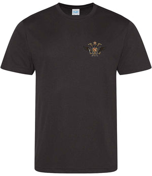 1st The Queen's Dragoon Guards Sports T-Shirt