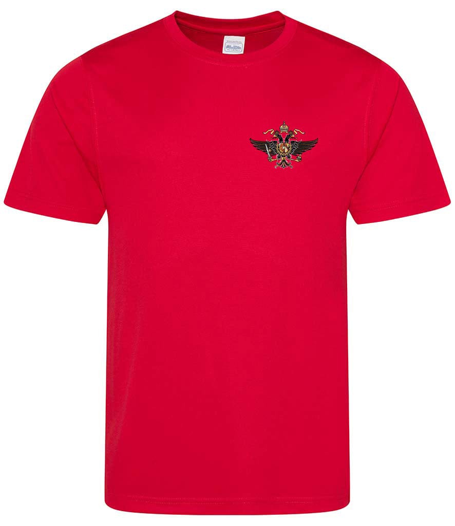 1st The Queen's Dragoon Guards Sports T-Shirt