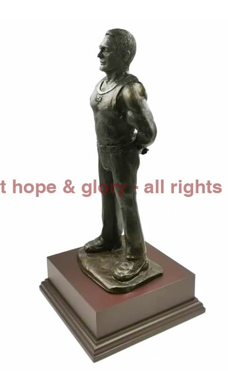 Armed Forces PTI Cold Cast Bronze Figurine