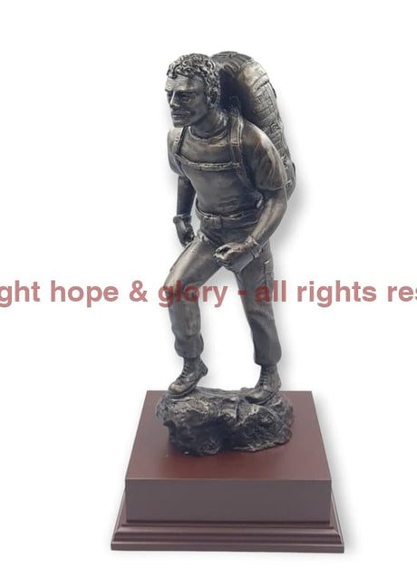 Armed Forces PTI with Bergen Cold Cast Bronze Figurine