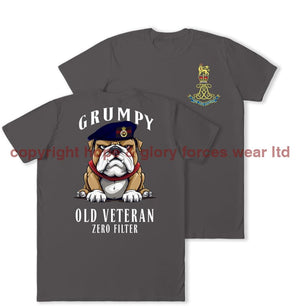 Grumpy Old Life Guards Veteran Double Print T-Shirt