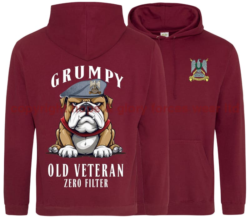 Grumpy Old Scots Dragoon Guards Veteran Double Side Printed Hoodie