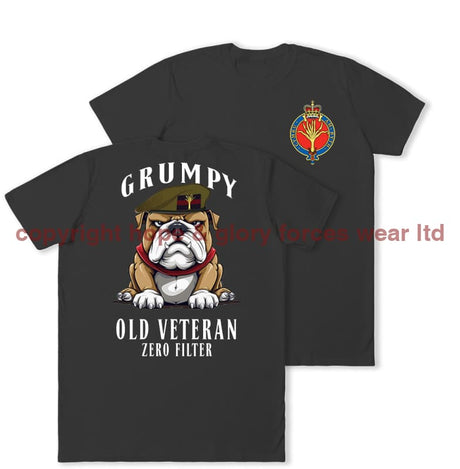 Grumpy Old Welsh Guards Veteran Double Print T-Shirt