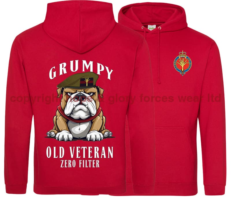 Grumpy Old Welsh Guards Veteran Double Side Printed Hoodie