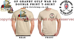 Gulf War 30 Veteran Double Side Printed T-Shirt