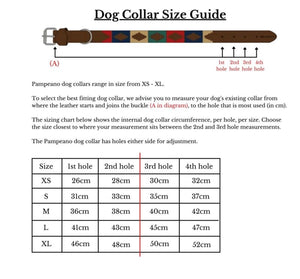 The Household Division BRB Leather Dog Collar