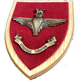 PARACHUTE REGIMENT Large Military Wall Plaque