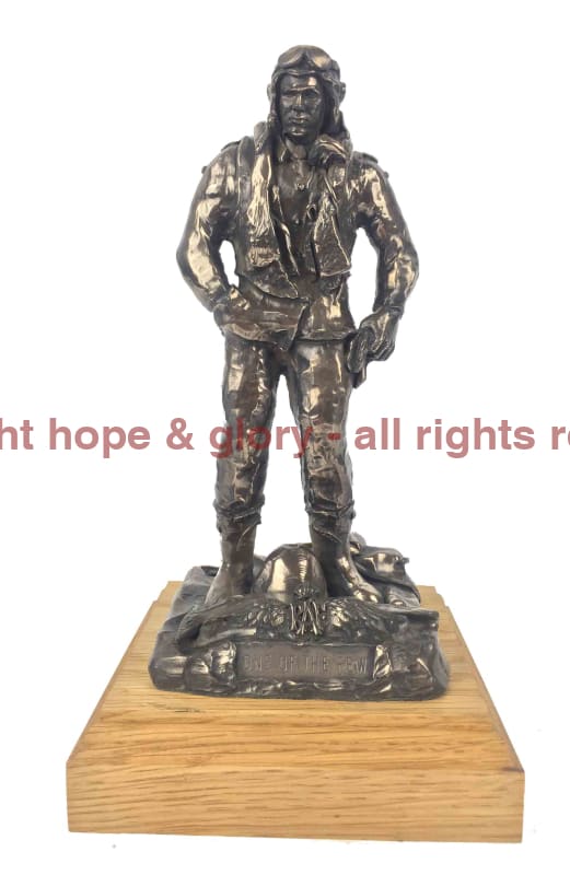 Raf World War 2 Fighter Pilot Bronze Statue Military